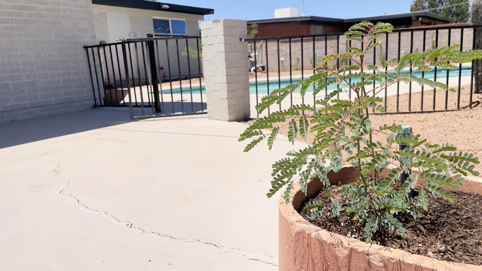 טוסון Private Home - Heated Pool, Billiards, Darts, Foosball, Fireplace, 5 Smart Tvs, Bbq, Cotton Bedding - The Saguaro Sanctuary, Pool Heat Optional מראה חיצוני תמונה